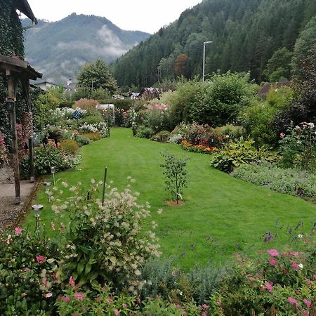 Appartment Haring Hollenstein an der Ybbs エクステリア 写真