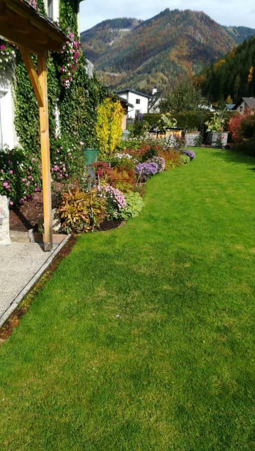 Appartment Haring Hollenstein an der Ybbs エクステリア 写真