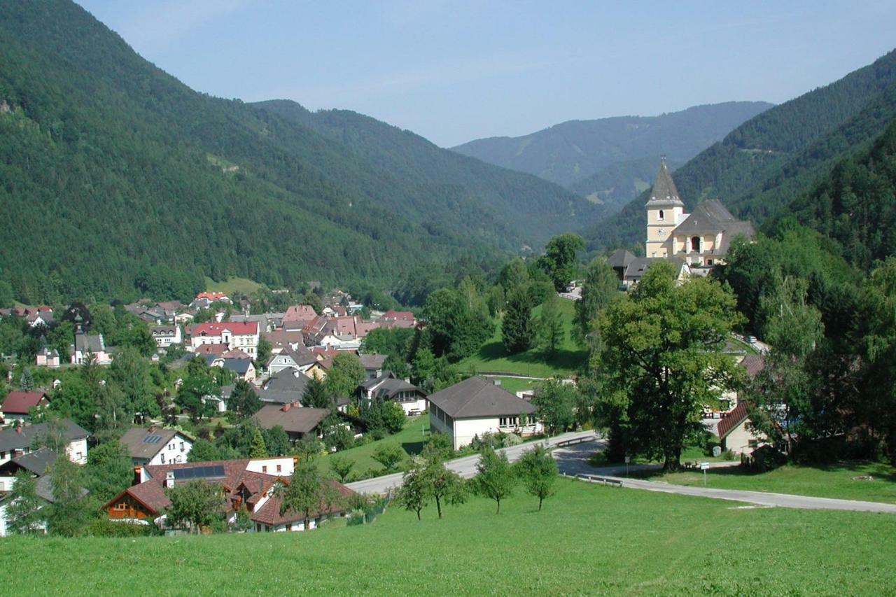 Appartment Haring Hollenstein an der Ybbs エクステリア 写真