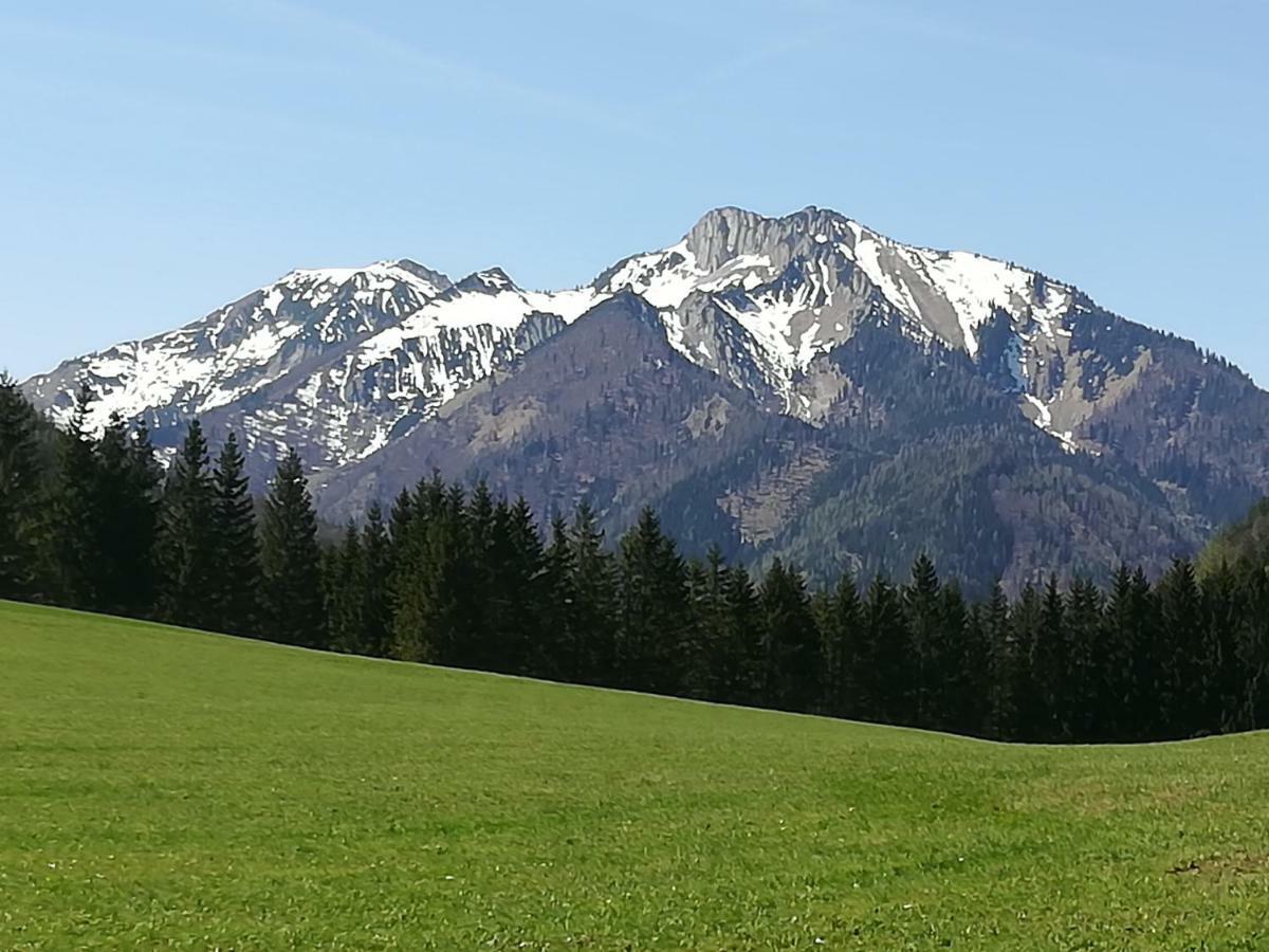 Appartment Haring Hollenstein an der Ybbs エクステリア 写真